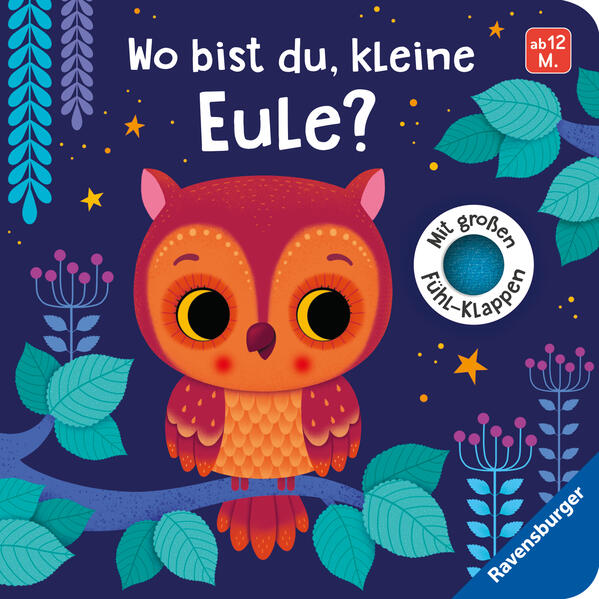 Image of Wo bist du kleine Eule?