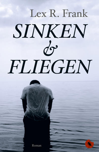 Image of Sinken & Fliegen