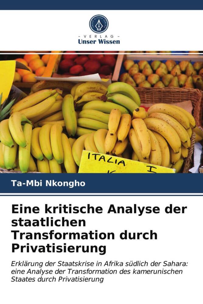Eine kritische Analyse der staatlichen Transformation durch Privatisierung
