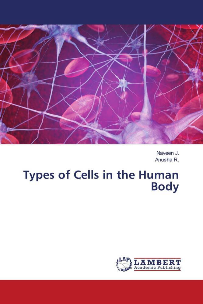 Types of Cells in the Human Body