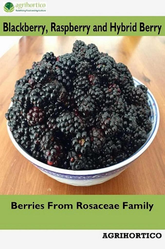 Blackberry Raspberry and Hybrid Berry: Berries From Rosaceae Family
