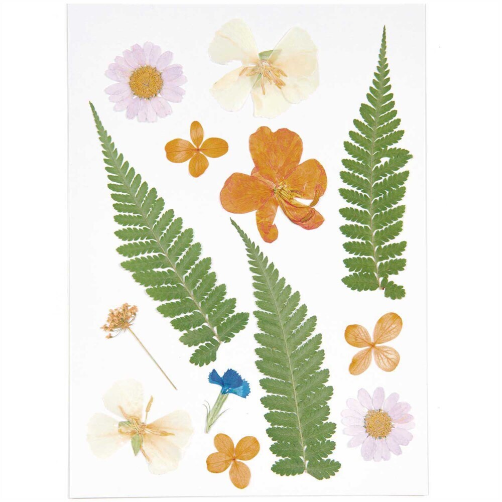 Gepresste Blüten Mix Set violett orange 13 Stk