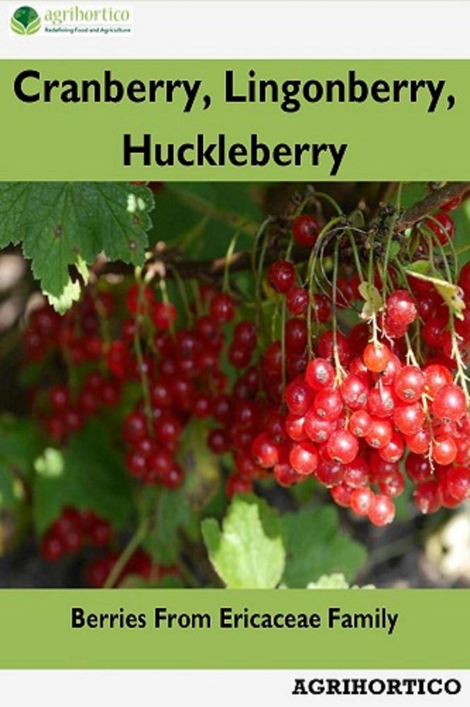 Cranberry Lingonberry Huckleberry: Berries From Ericaceae Family