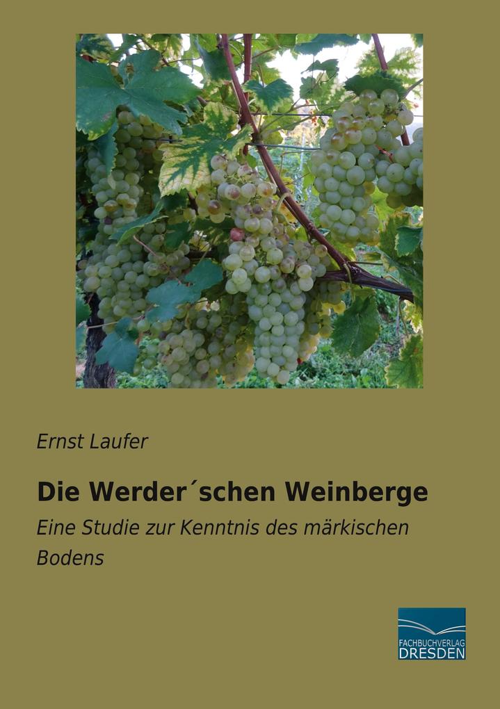 Die Werderschen Weinberge