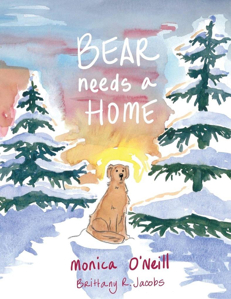 Bear Needs A Home