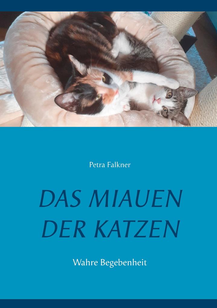 Das Miauen der Katzen - Petra Falkner