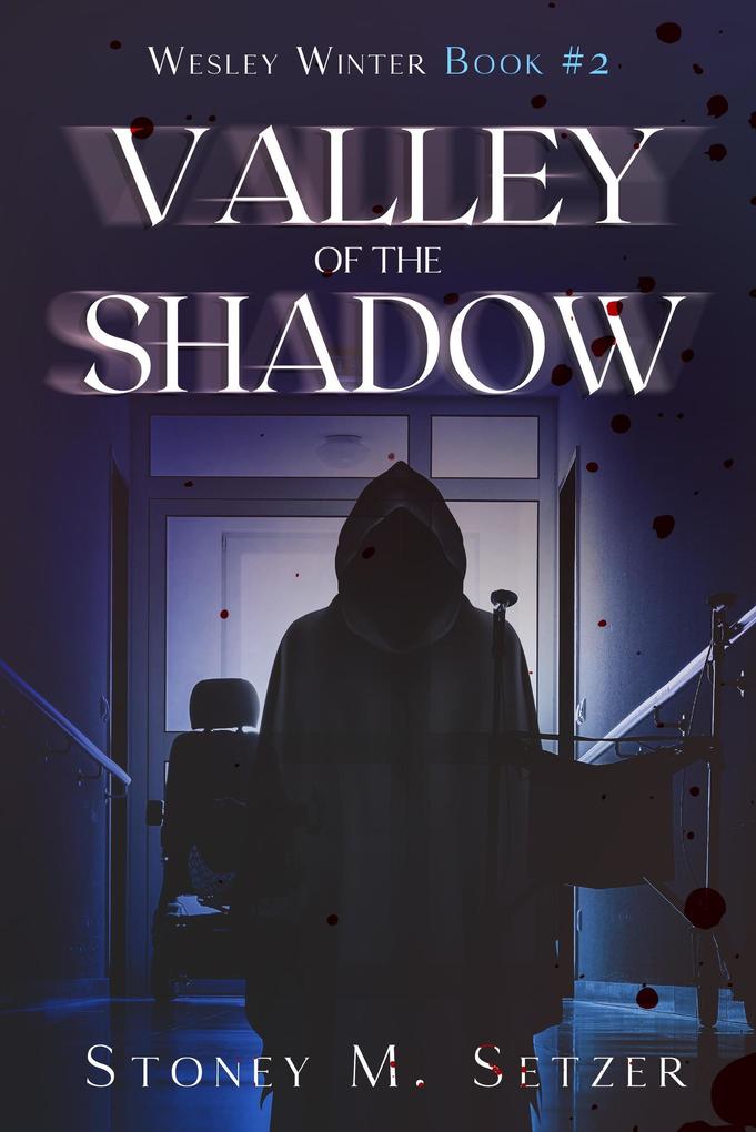 Valley of the Shadow (Wesley Winter #2)