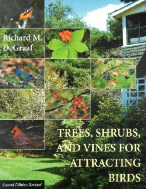 Trees Shrubs and Vines for Attracting Birds