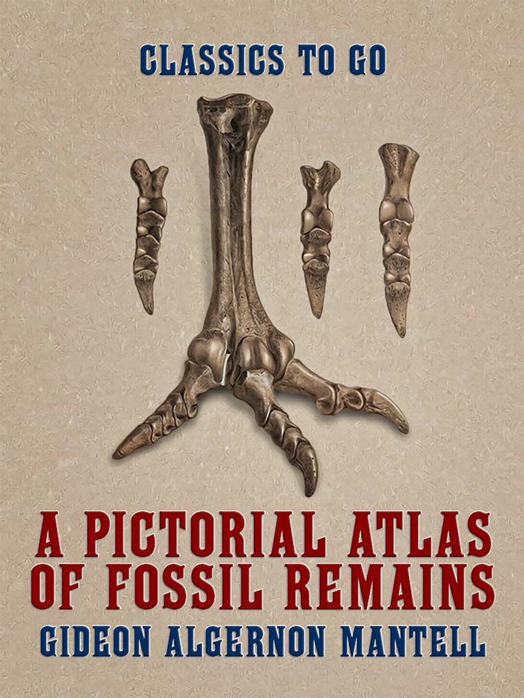 A Pictorial Atlas of Fossil Remains