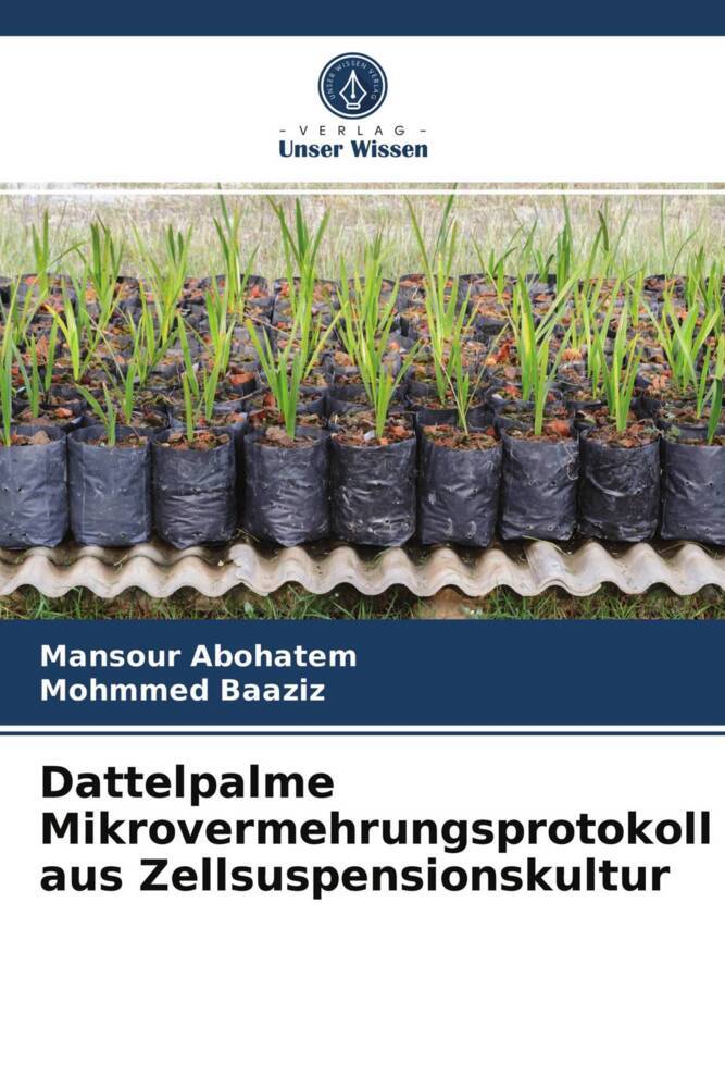Dattelpalme Mikrovermehrungsprotokoll aus Zellsuspensionskultur