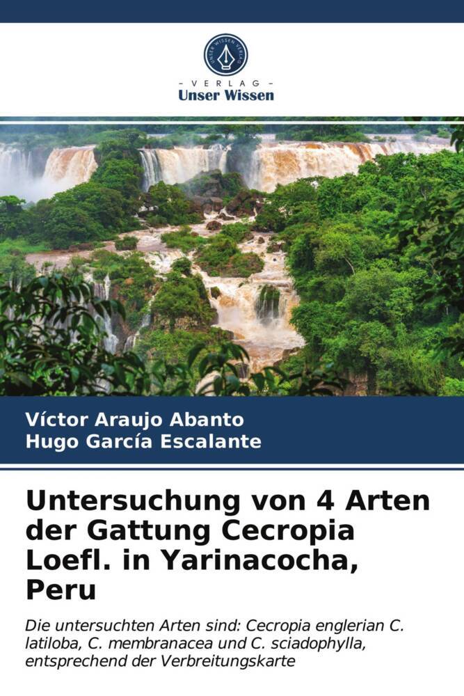 Untersuchung von 4 Arten der Gattung Cecropia Loefl. in Yarinacocha Peru