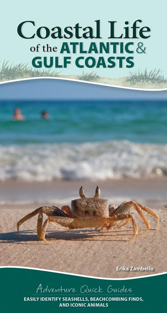 Coastal Life of the Atlantic and Gulf Coasts: Easily Identify Seashells Beachcombing Finds and Iconic Animals