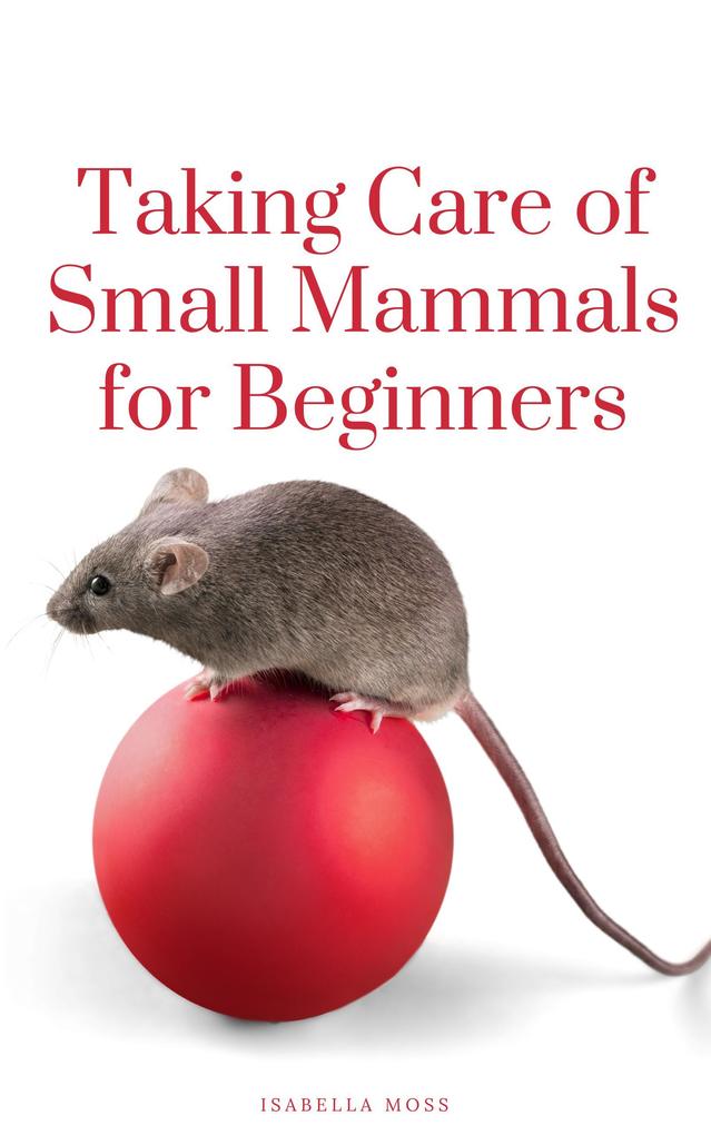Taking Care Of Small Mammals for Beginners