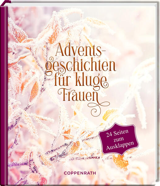 Image of Adventsgeschichten für kluge Frauen