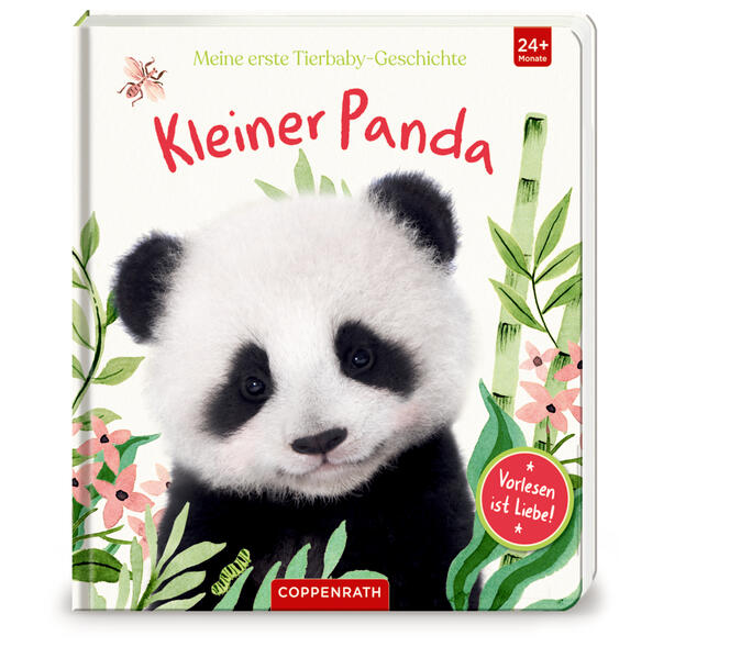 Image of Meine erste Tierbaby-Geschichte: Kleiner Panda