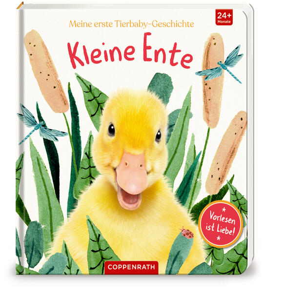 Image of Meine erste Tierbaby-Geschichte: Kleine Ente