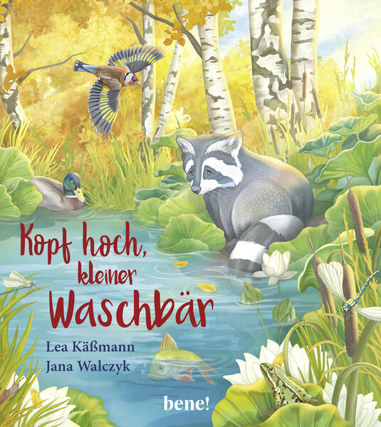 Image of Kopf hoch kleiner Waschbär - ein Bilderbuch für Kinder ab 2 Jahren