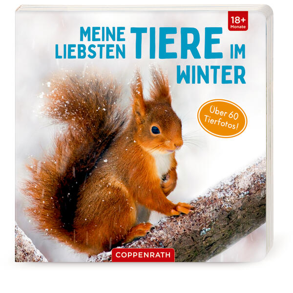 Image of Meine liebsten Tiere im Winter