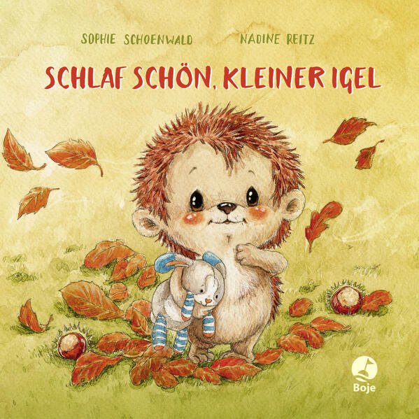 Image of Schlaf schön kleiner Igel (Mini-Ausgabe)