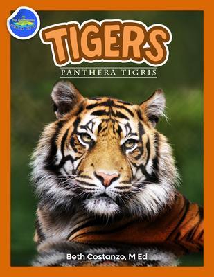 Tigers Panthera Tigris ages 2-4