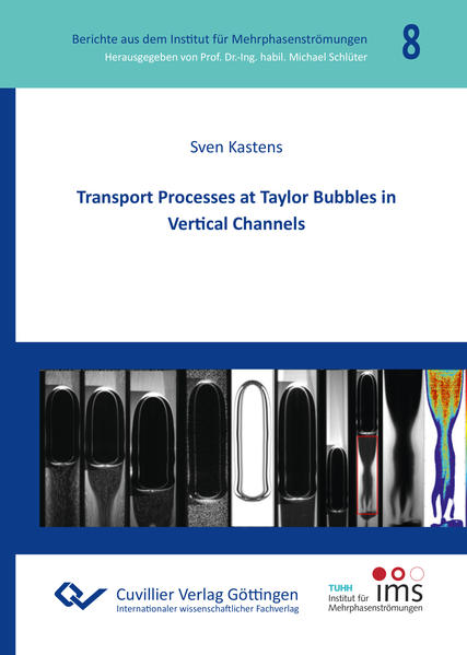 Transport Processes at Taylor Bubbles in Vertical Channels