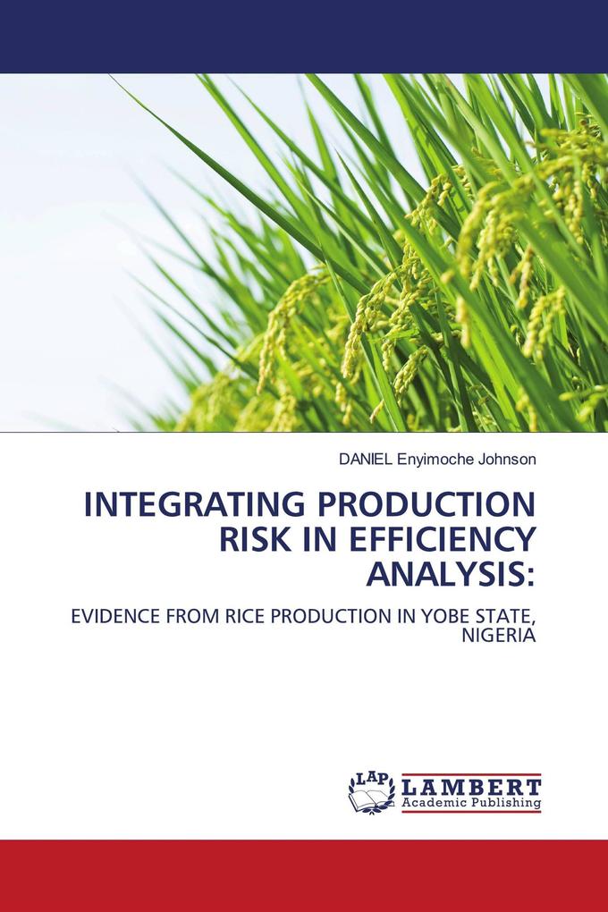 INTEGRATING PRODUCTION RISK IN EFFICIENCY ANALYSIS: