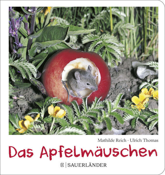 Image of Das Apfelmäuschen (Pappbilderbuch)