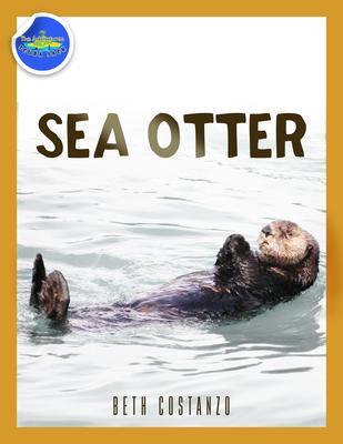 Sea Otter ages 2-4