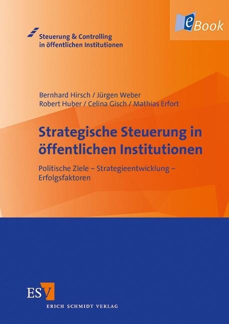 Strategische Steuerung in öffentlichen Institutionen - Mathias Erfort/ Celina Gisch/ Bernhard Hirsch/ Robert Huber/ Jürgen Weber