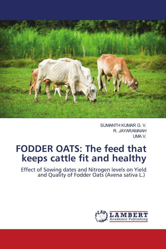 FODDER OATS: The feed that keeps cattle fit and healthy