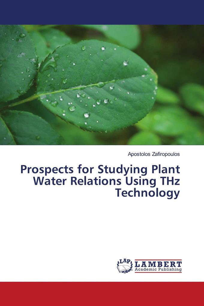 Prospects for Studying Plant Water Relations Using THz Technology