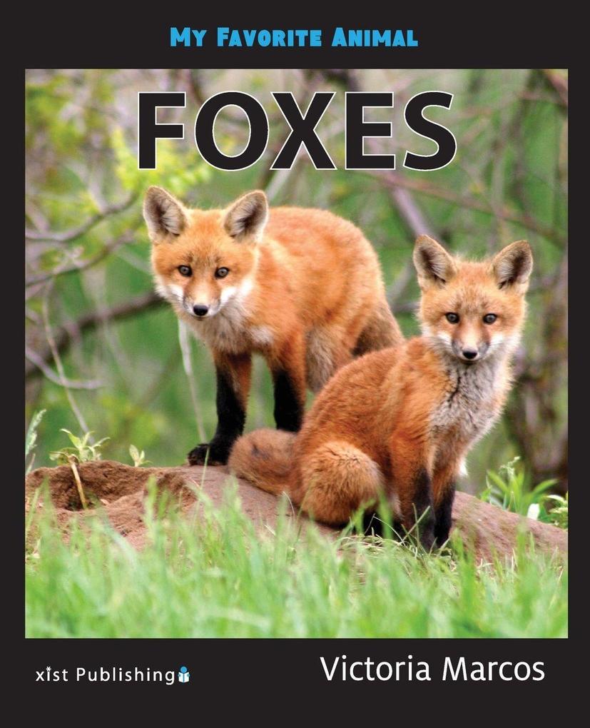 My Favorite Animal