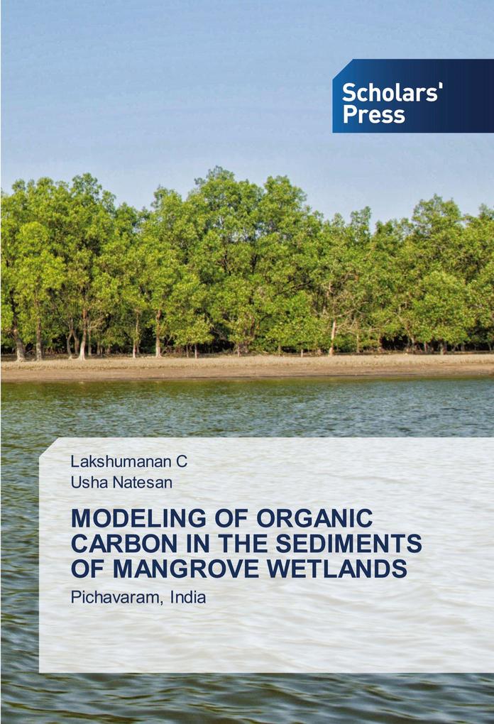 MODELING OF ORGANIC CARBON IN THE SEDIMENTS OF MANGROVE WETLANDS