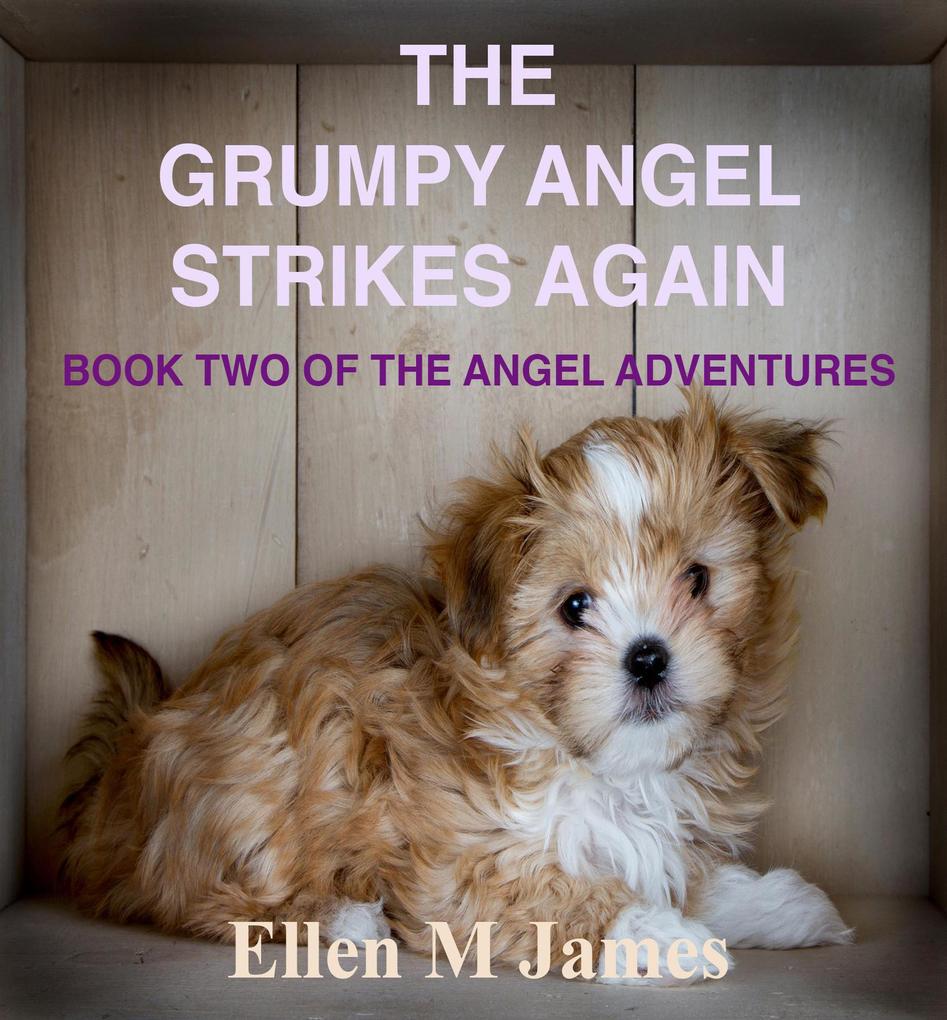 The Grumpy Angel Strikes Again (The Tilly and George Adventures #2)