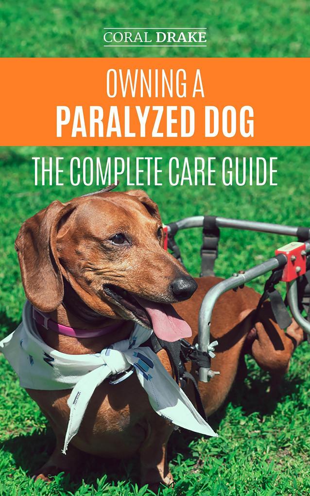 Owning a Paralyzed Dog - The Complete Care Guide