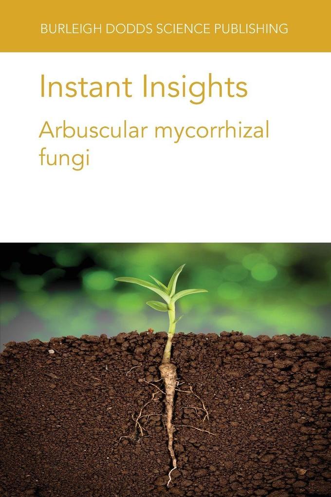 Instant Insights