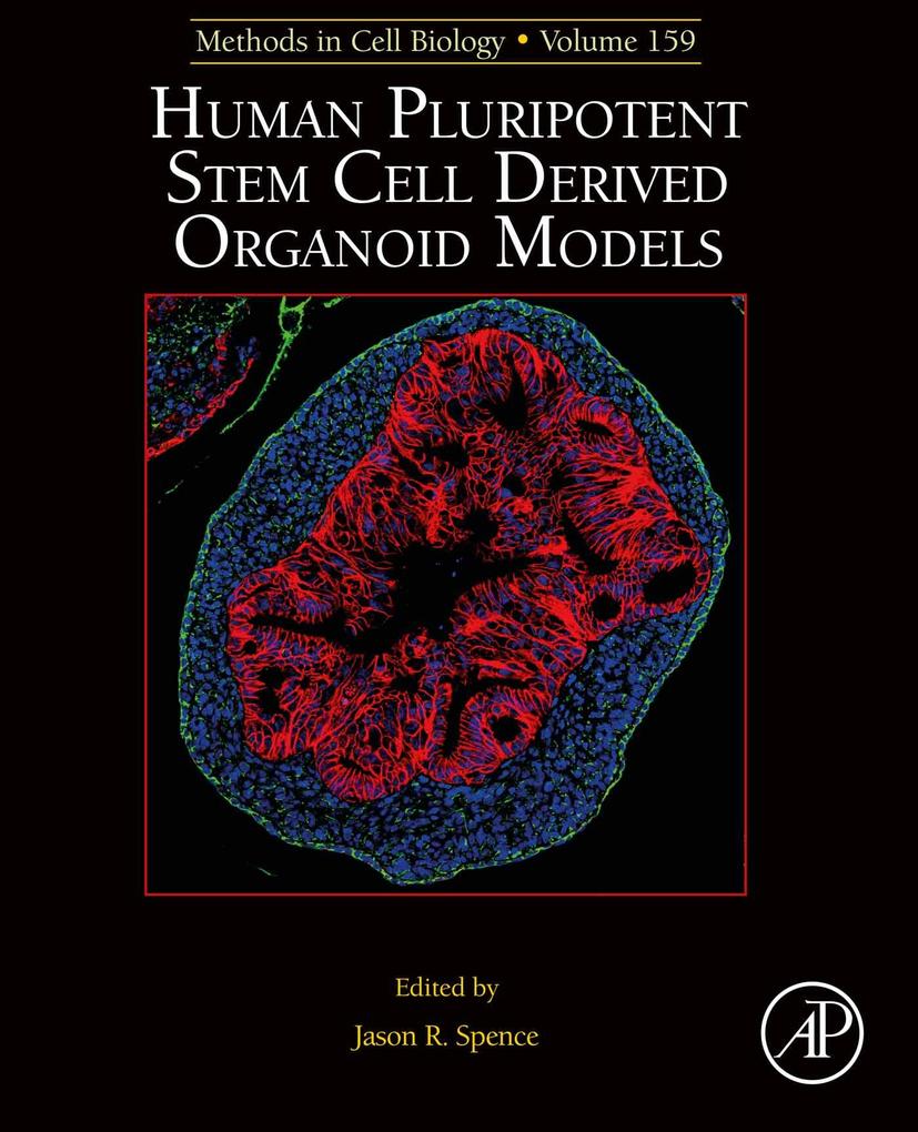 Human Pluripotent Stem Cell Derived Organoid Models