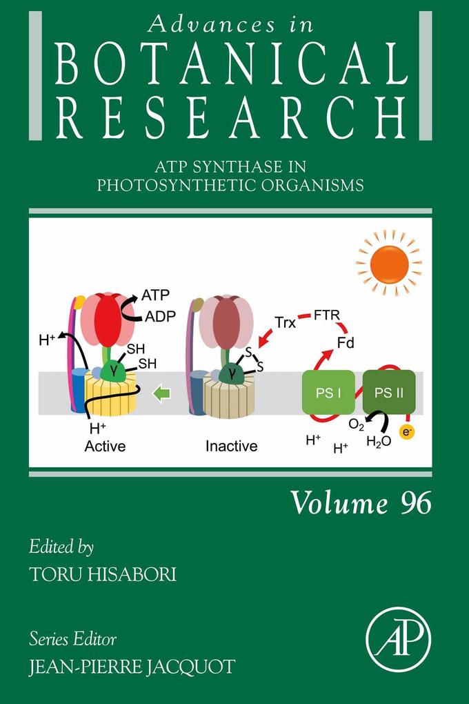 ATP Synthase in Photosynthetic Organisms