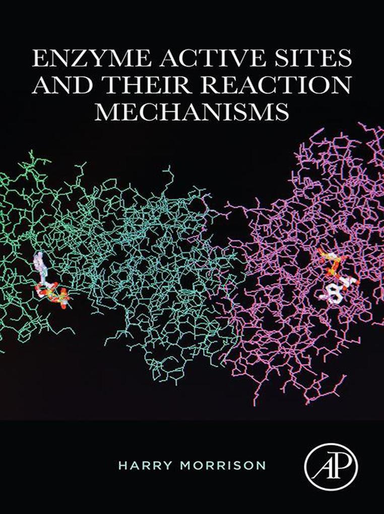 Enzyme Active Sites and their Reaction Mechanisms