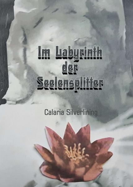 Im Labyrinth der Seelensplitter