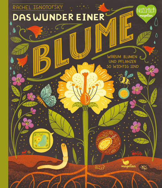 Image of Das Wunder einer Blume - Warum Blumen und Pflanzen so wichtig sind