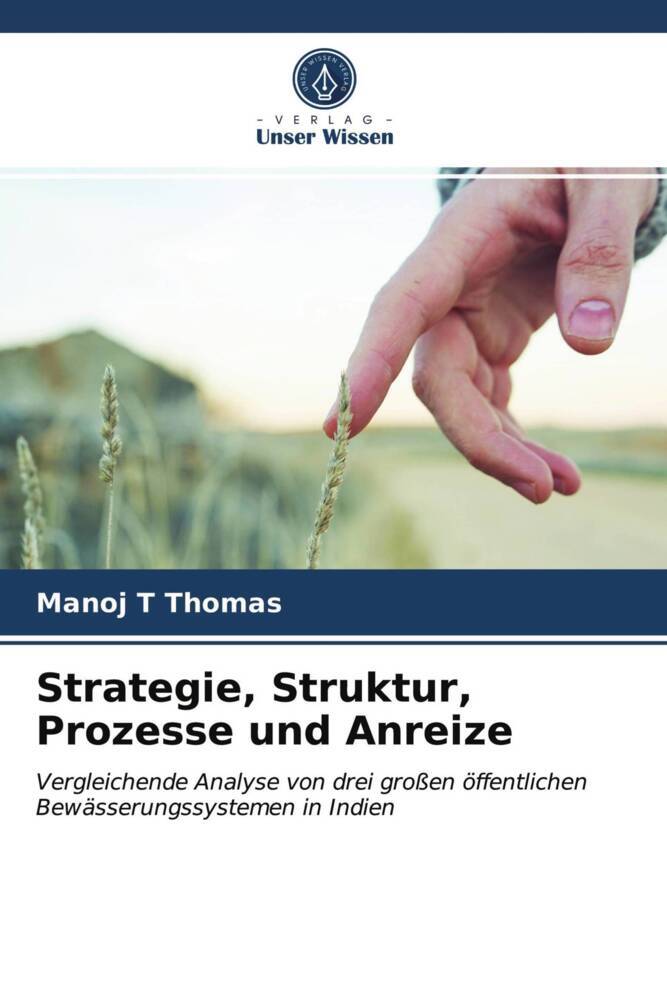 Strategie Struktur Prozesse und Anreize