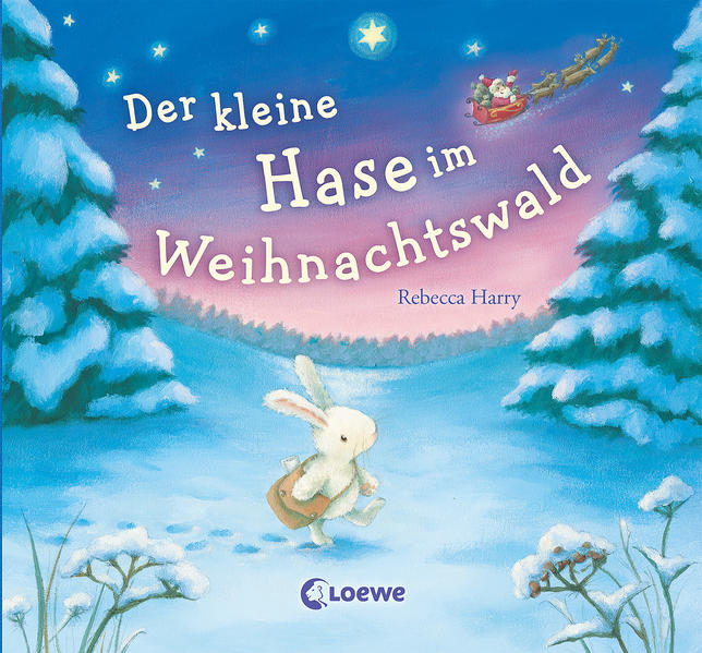 Image of Der kleine Hase im Weihnachtswald