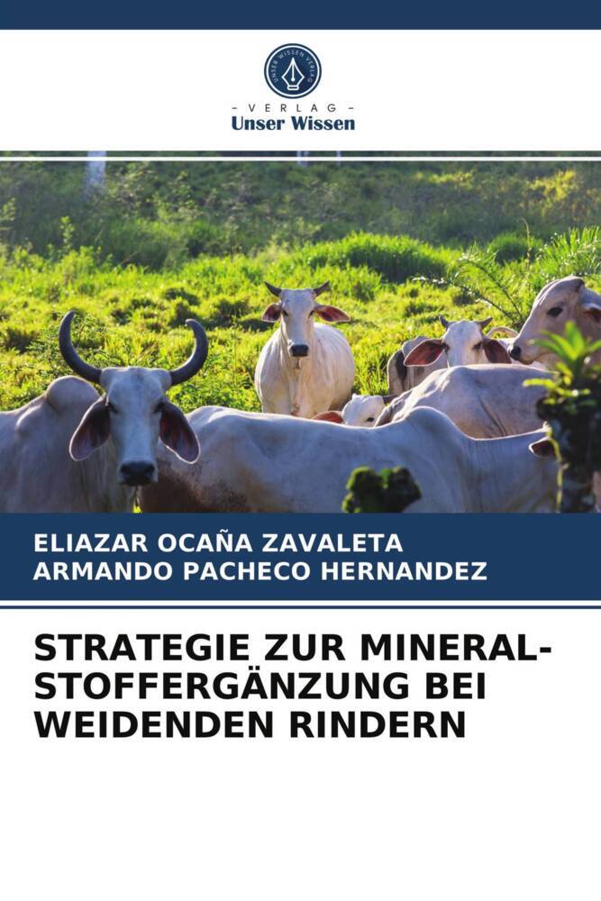 STRATEGIE ZUR MINERAL-STOFFERGÄNZUNG BEI WEIDENDEN RINDERN