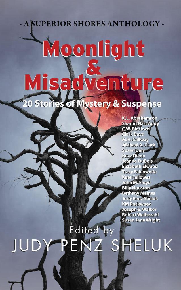 Moonlight & Misadventure: 20 Stories of Mystery & Suspense (A Superior Shores Anthology #3)