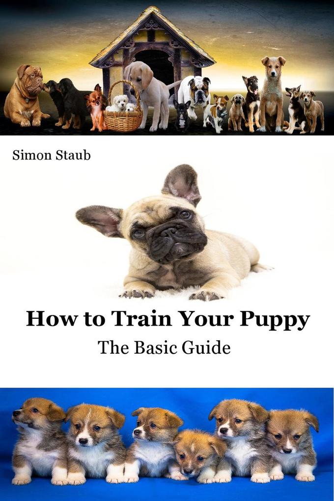 How to Train Your Puppy (Dog training)