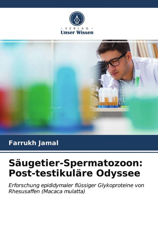 Säugetier-Spermatozoon: Post-testikuläre Odyssee