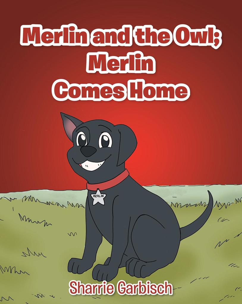 Merlin and the Owl: Merlin Comes Home