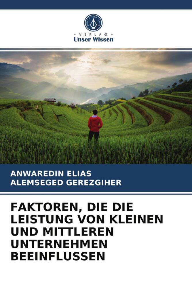 FAKTOREN DIE DIE LEISTUNG VON KLEINEN UND MITTLEREN UNTERNEHMEN BEEINFLUSSEN