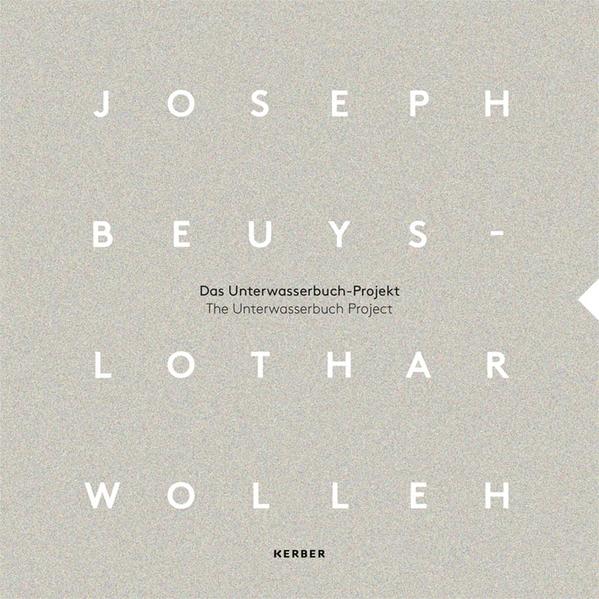 Joseph Beuys und Lothar Wolleh 3 Teile